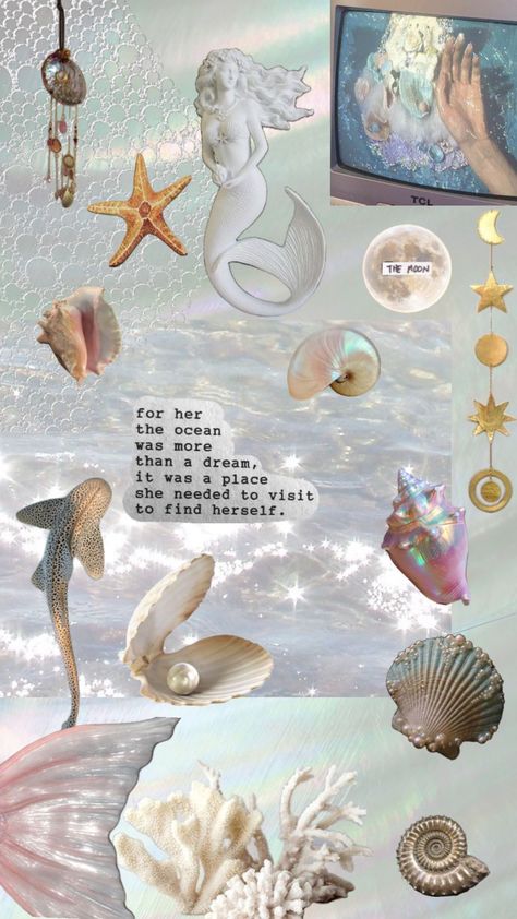 #myfirstshuffle Sea Shell Aesthetic Wallpaper, Seastar Wallpaper, Purple Mermaid Aesthetic, Pink Mermaid Aesthetic, Blue Mermaid Aesthetic, Seashell Wallpaper, Pink Seashell, Beach Wardrobe, Mermaid Wallpapers