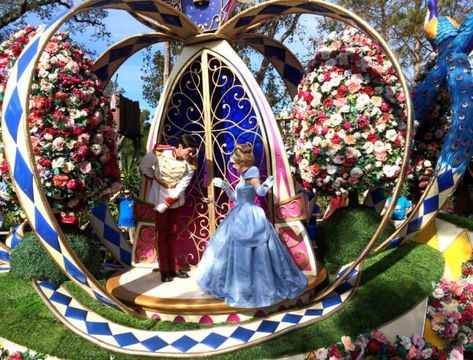 Festival Of Fantasy Parade, All The Princesses, Character Dining, Disney Songs, Best Trip, Disney Dining, Disney Springs, Travel Fun, Family Travel