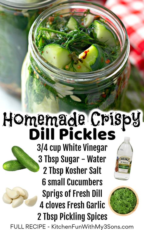 Crispy Dill Pickles, Pickles Homemade Easy, Dill Pickles Recipe, Refrigerator Pickles Dill, Easy Pickling Recipes, Homemade Pickles Dill, Pickle Recipes Homemade, Dill Pickle Recipe, Pickles Recipe