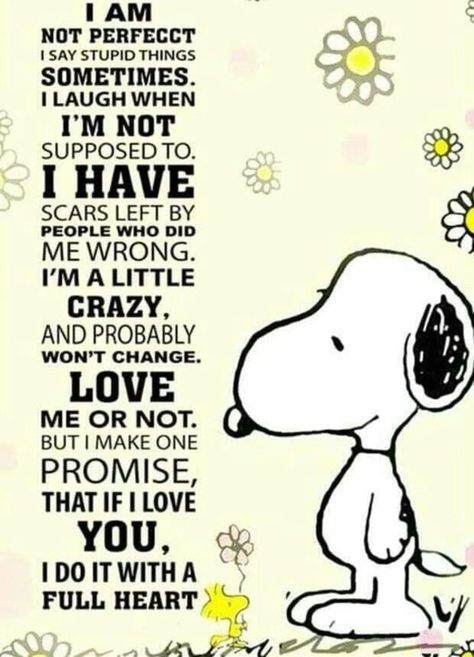 Snoopy Quotes Inspiration Wisdom, Snoopy Quotes Love, Peanuts Snoopy Quotes, Snoopy Hug, Peanuts Quotes, Charlie Brown Quotes, Positive Quotes Wallpaper, Hug Quotes, Snoopy Funny