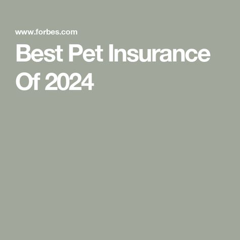 Best Pet Insurance Of 2024 Forbes Quotes, Heartworm Prevention, Dog Insurance, Insurance Benefits, Money Advice, Pet Wellness, Pet Insurance, Insurance Policy, Cool Pets