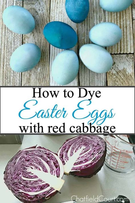 How to dye Easter eggs the natural way using different foods. We got a beautiful blue color using red cabbage that was boiled down in water. Such a fun and easy Easter craft. How To Dye Eggs With Red Cabbage, Cabbage Easter Eggs, Red Cabbage Egg Dye, Spring Craft Ideas, Natural Egg Dye, Shaving Cream Easter Eggs, Dyed Eggs, Dye Easter Eggs, Easter Snacks