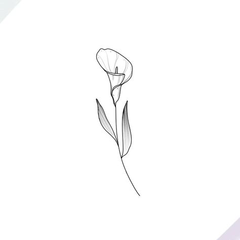 ➕Calla Lily➕ Getting ready for an amazingly productive week 🖤✨ Calla Lily Tattoo, Lilly Flower Tattoo, Lillies Tattoo, Lily Tattoo Design, Lilies Drawing, Lily Flower Tattoos, Bouquet Tattoo, Inspiration Tattoos, Lily Tattoo