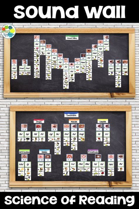 Intervention Classroom, Sound Wall, Classroom Anchor Charts, Literacy Coaching, Teaching Second Grade, Diverse People, Reading Specialist, Science Of Reading, 2nd Grade Reading