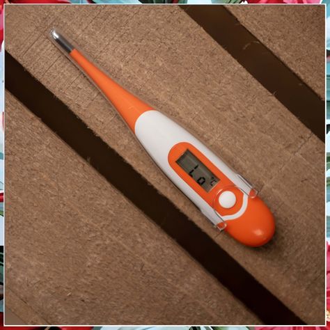 Looking for the best dogs thermometers to keep track of your pup's health? Check out our top picks for accurate and reliable thermometers for your furry friend. From digital to infrared options, ensure your dog's well-being with these must-have tools. Rectal Thermometer, Dog Temperature, Digital Thermometer, Health Check, Body Temperature, 10 Seconds, Best Dogs, The End, Dogs