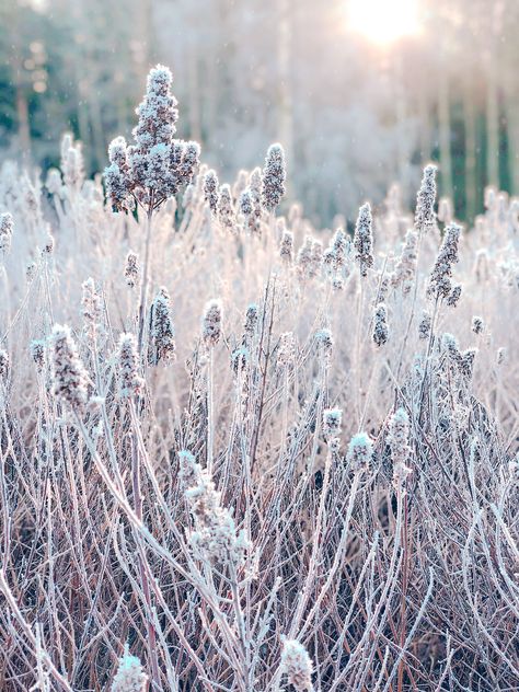 Winter Fairy, Scenery Paintings, Winter Sky, Winter Frost, Fairy Aesthetic, Winter Magic, Winter Scenery, Boho Christmas, Spring Nature