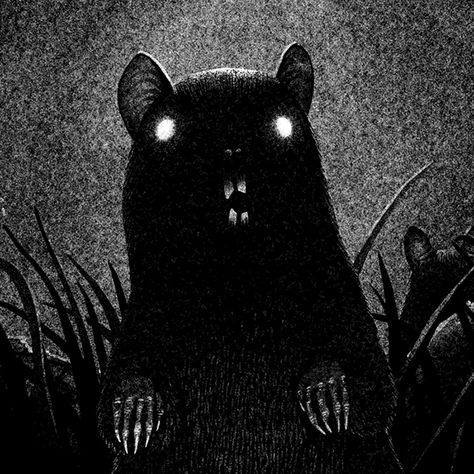 Rat Aesthetics Dark, Rat Art Dark, Creepy Wallpaper, Creepy Animals, Rat King, Ghost Drawing, Creepy Guy, Month Of October, Dark Images