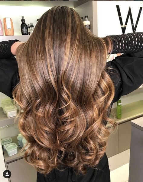 Brown Hair Color Shades, Long Hair Highlights, Brown Hair With Caramel Highlights, Brown Hair Inspo, Brown Hair Dye, Brown Hair With Blonde Highlights, Caramel Highlights, Hair Color Shades, Honey Hair