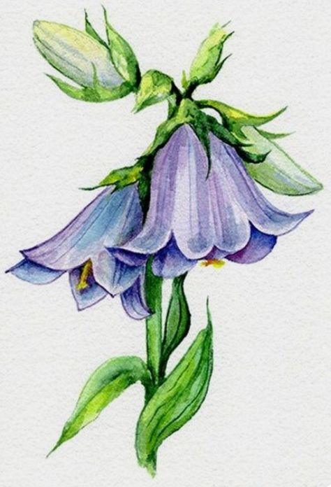 Blue Flower Drawing, Bells Painting, Wc Ideas, Blue Bell Flowers, Garage Renovation, Watercolor Flowers Tutorial, Flowers Tutorial, Acrylic Painting Flowers, Wall Art Nature