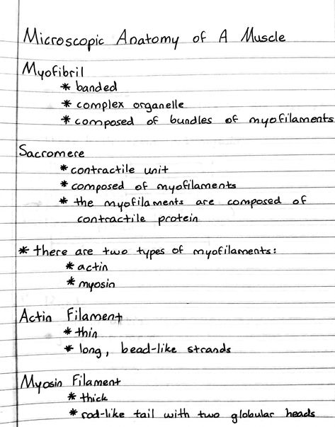 Physiology Notes, Muscular System Anatomy, Nursing School Organization, Physical Therapy School, Physical Therapy Student, Anatomy Lessons, Nurse Study Notes, Nursing Student Tips, Medical Student Study