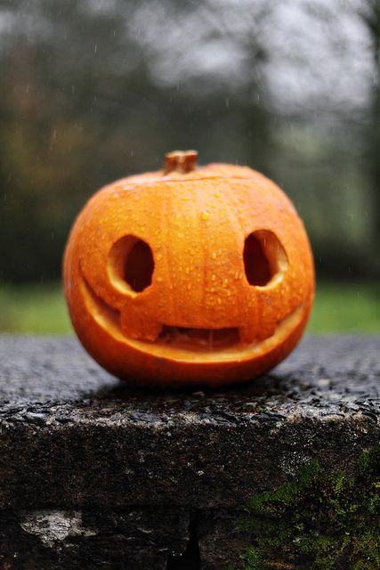 Pumpkin Cravings, Cute Pumpkin Carving, Jack The Pumpkin King, Pumkin Carving, Halloween Pumpkin Carving Stencils, Creative Pumpkin Carving, The Pumpkin King, Easy Pumpkin Carving, Scary Pumpkin Carving