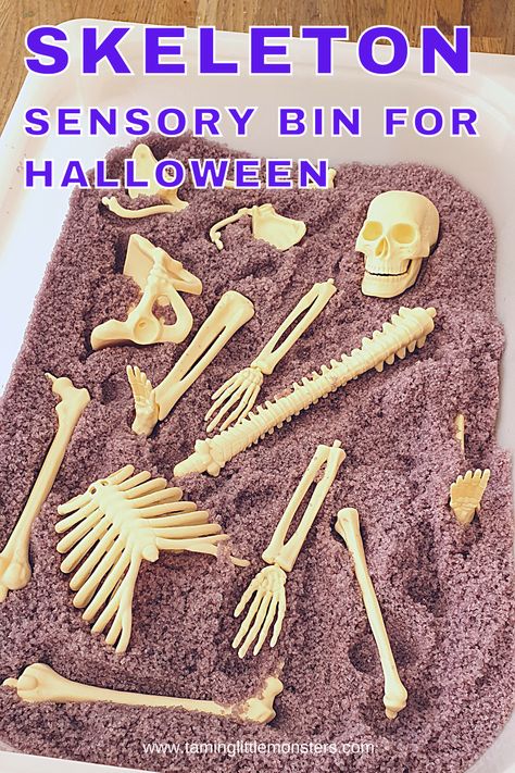 Human Body Sensory Activities, Anatomy Sensory Bin, Skeleton Sensory Bin, My Body Sensory Activities, Skeleton Activities For Toddlers, Human Body Sensory Bin, Bone Activities For Kids, Human Body Activities For Toddlers, Body Activities For Toddlers