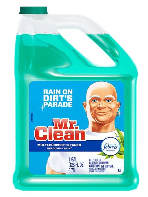 All-Purpose Cleaner Rain Scent, Multi Purpose Cleaner, Mr Clean, All Purpose Cleaner, Multipurpose Cleaner, Household Cleaning Supplies, Surface Cleaner, Household Cleaners, Quick Cleaning