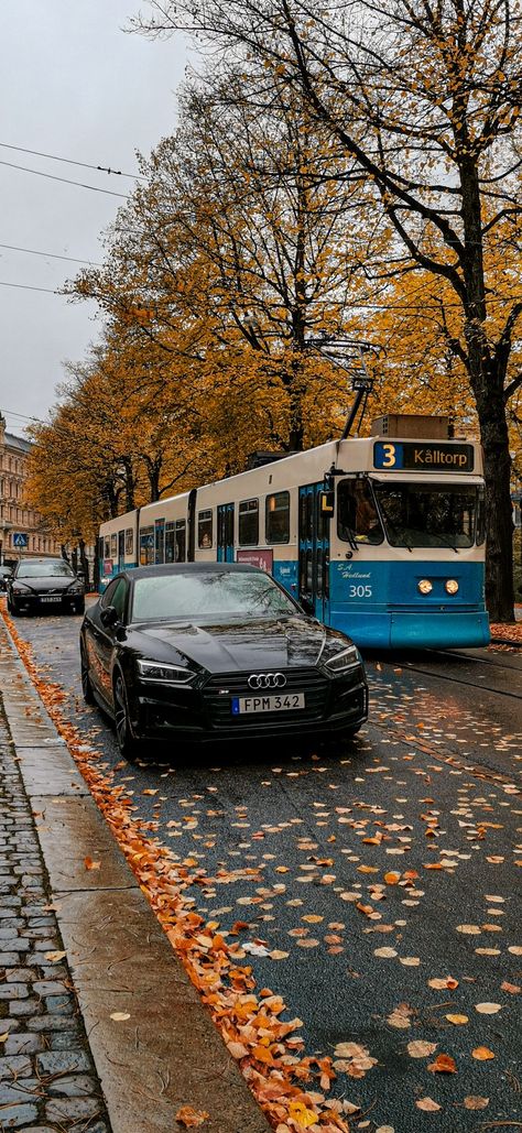 Automen leaves falling aesthetic of vintage streets University Of Gothenburg, Gothenburg Aesthetic, Fit Moodboard, Gothenburg University, Denmark Aesthetic, Sweden Aesthetic, Leaves Falling, Gothenburg Sweden, Uni Life