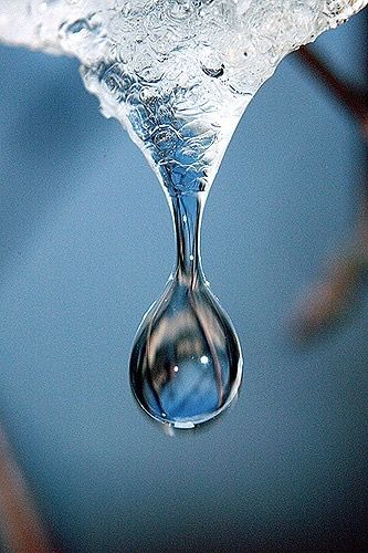 Water Drop Aesthetic, Colour Gel Photography, Water In The Morning, Floral Cards Design, Water Aesthetic, Water Pictures, Water Drip, Elements And Principles, Water Falls