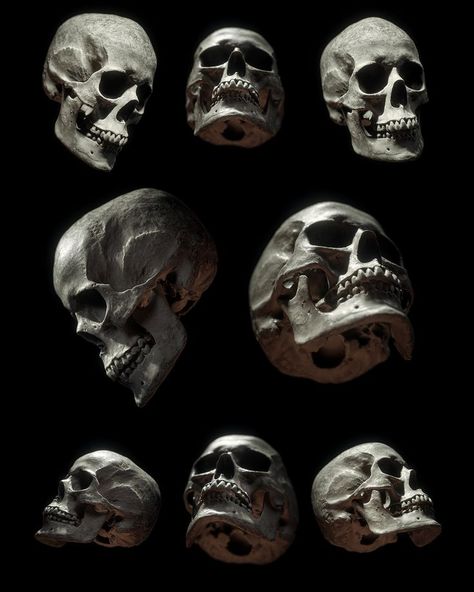 Skull Photo, Skull Anatomy, Skull Reference, Skeleton Anatomy, Skull Model, Skulls Drawing, Human Anatomy Art, 카드 디자인, Camera Raw