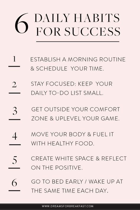 6 daily habits to help you have a successful life Selamat Hari Valentine, Goal Ideas, Hairstyles Inspiration, Habits For Success, Photography Hair, Habits Of Successful People, Dangerous Animals, Success Habits, Vie Motivation