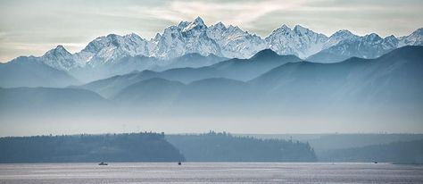 Looking south to the Olympic mountains & the Olympic peninsula from Useless Bay.  photo by Tom Hanify, Sept. 2014 Olympic Mountains Tattoo, Mtn Tattoo, Notion Images, Pnw Art, Olympic Mountains, Bay Photo, Mountain Painting, Whidbey Island, Mountain Wallpaper