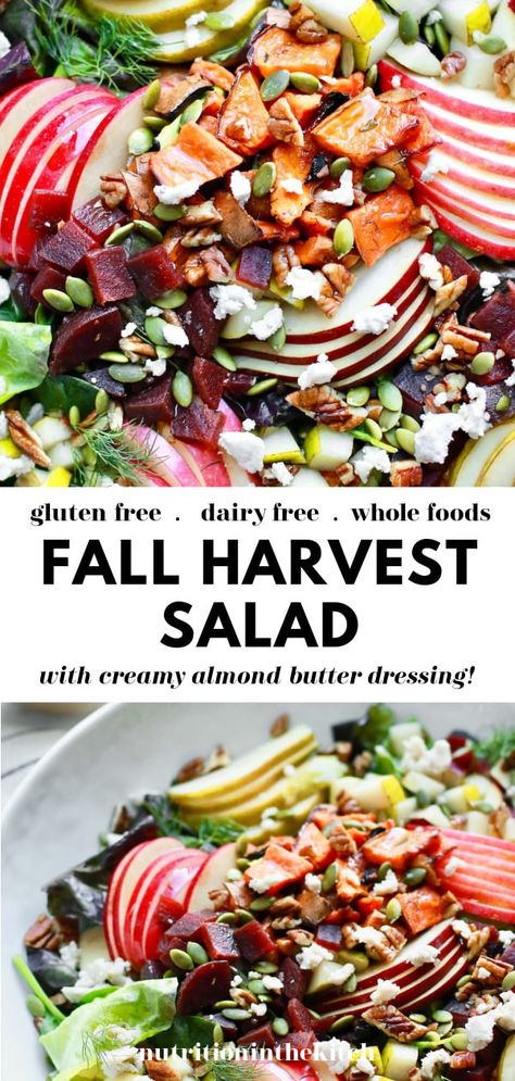 This delicious, healthy, simple, and easy Fall Harvest Salad is the best salad to enjoy in the autumn season. It's great for gatherings like Thanksgiving or enjoying any day of the week. It's gluten free, dairy free, and made with whole foods and a creamy almond butter apple dijon dressing! Dairy Free Thanksgiving Recipes, Harvest Salad Recipes, Dairy Free Thanksgiving, Fall Harvest Salad, Salad Recipes Gluten Free, Dairy Free Salads, Dairy Free Recipes Easy, The Best Salad, Autumn Salad Recipes