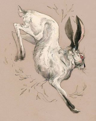 Hare Sketch, Hare Drawing, Creepy Animals, Dog Motif, Rabbit Tattoos, Rabbit Art, Sketch Inspiration, Art Style Inspiration, Animal Sketches