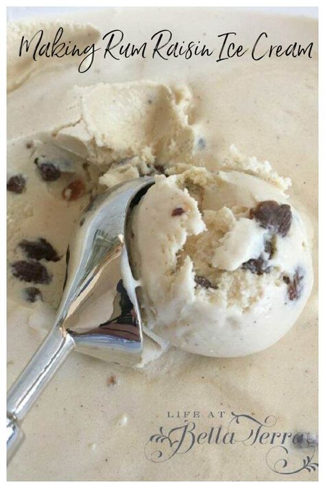 Rum And Raisin, Diy Outdoor Bench, Rum Raisin Ice Cream, Ice Cream Easy, Good Rum, Rum Recipes, Build Yourself, Rum Raisin, Quick Healthy Meals