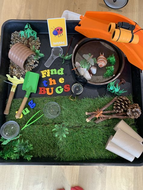 Minibeast Tuff Tray Eyfs, Bugs Tuff Tray, Camping Tuff Tray Ideas, Insect Tuff Tray, Bug Tuff Tray Ideas, Spring Tuff Tray Ideas For Toddlers, Toddler Tuff Tray Ideas, Ants Craft, Summer Tuff Tray Ideas