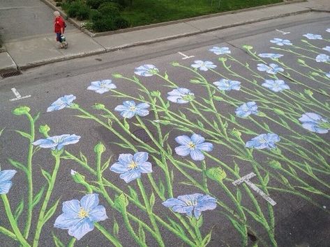 Urban flowers colorful flowers art chalk street drawing sidewalk cement Street Chalk Art, Fun Chalk Art, Chalk Design, Sidewalk Chalk Art, Sidewalk Art, Art Tumblr, Chalk Drawings, Of Montreal, Sidewalk Chalk