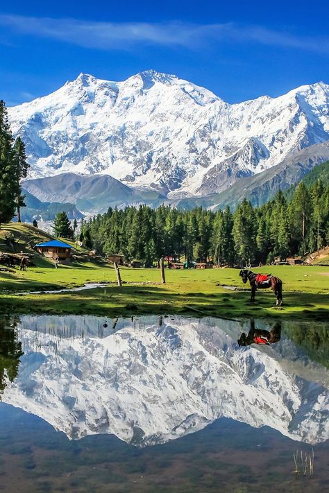 Safest Places To Travel, Nanga Parbat, Environment Reference, Draw Pencil, Reference Pics, Gilgit Baltistan, John Denver, Genesis 1, Natural Scenery