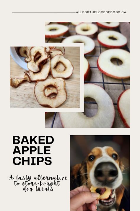 Air Fried Dog Treats, Dog Fruit Treats, Apple Dog Treats Homemade, Air Fryer Dog Treats, Healthy Puppy Treats, Bananas For Dogs, Apple Dog Treats, Turkey Dog Treats, Baked Apple Chips