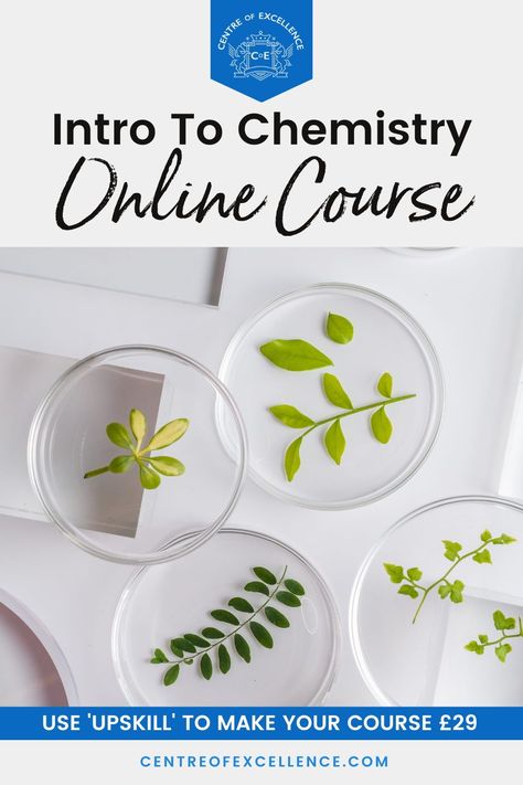 USE 'UPSKILL' TO MAKE YOUR COURSE £29 - Are you looking for chemistry lessons for beginners? Through this online course you’ll learn about chemistry lab equipment, get access to chemistry notes for beginners, and gain a greater understanding of the periodic table and its uses. Click here to start your course today. Physics For Beginners, Chemistry Lab Equipment, Course Syllabus, Chemical Bond, Chemical Equation, Chemistry Worksheets, Diploma Courses, Chemistry Experiments, Chemistry Labs