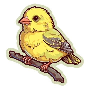 Canary Drawing, Bird Sitting, Drawing Png, Bird Drawing, Bird Clipart, On A Stick, Bird Drawings, Png Transparent Background, A Stick