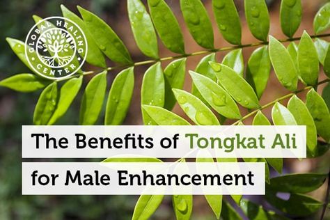 Tongkat Ali, Increase Testosterone Levels, Increase Testosterone, Life Energy, Testosterone Levels, Healthy Work, Hormonal Changes, Male Enhancement, Woman Reading