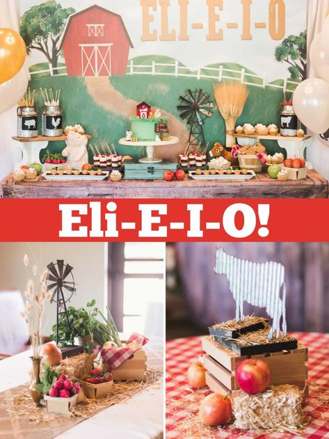 What could be more adorable than an Old McDonald themed birthday party? With rustic elements and country decor, this design looks as if it was taken right out of a picture book! Rustic Farm Party Decor, Rustic Farm Birthday Party, Old Mcdonald 3rd Birthday Party, Four Year Old Farm Party, Old Macdonald First Birthday Party, Old Macdonald Theme Birthday Party, Old Mcdonald 2nd Birthday Party, Oh Mcdonald Had A Farm Birthday Parties, Old Mcdonald Birthday Party Decorations