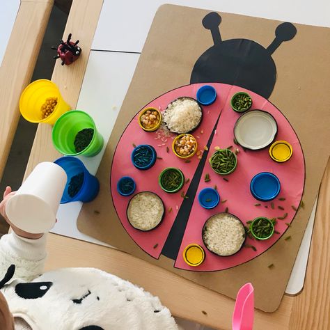 Ladybird Activities For Preschool, Ladybird Sensory Play, Ladybirds Eyfs Activities, Ladybug Theme Preschool, Ladybug Activities For Toddlers, Ladybug Activities For Preschool, Ladybird Activities, Ladybug Activities, Ladybugs Preschool