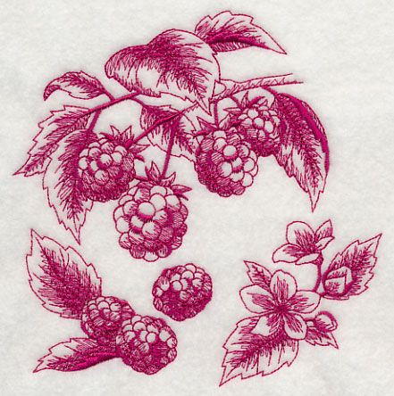 Raspberry Botanical (Toile) Zine Design, Jojo Designs, Machine Embroidery Applique, Embroidery Library, Bear Stuffed Animal, Body Pillow, Art Stuff, Ink Drawing, Tattoo Drawings