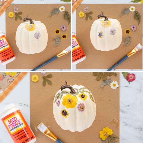 White Pumpkin Pressed Flowers, Hodge Podge Flower Pumpkins, Mod Podge Pumpkins With Flowers, Modge Podge Pumpkins With Flowers, Mod Podge Flower Pumpkin, Pumpkin Modge Podge Flowers, Modge Podge Pumpkins Flowers, Modge Podge Napkin Pumpkin, Floral Pumpkin Modge Podge