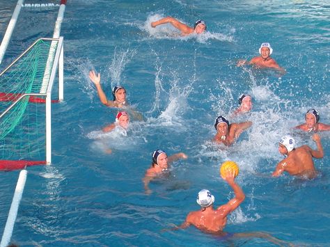 Water polo, whale, and the top #swimmingpoolgames. https://swimswam.com/the-top-9-swimming-pool-games-3-sharks-and-minnows/ List Of Sports, Swimming Pool Games, Water Polo Players, Pool Picture, Water Pictures, Pool Games, Summer Water, Water Sport, Trampolines