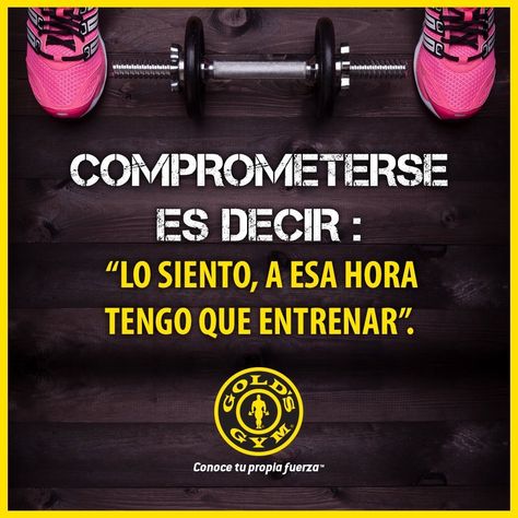 Frases Gym, Funny Crush Memes, Frases Fitness, Training Quotes, Crush Memes, Gym Quote, Gym Memes, Zumba Workout, A Gym