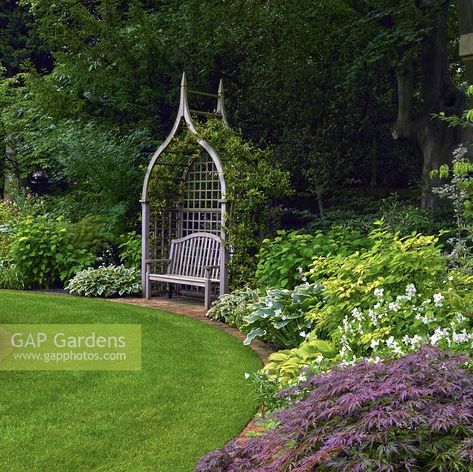 Beside a curving lawn, a bench within an arbour clad in jasmine. Shrubbery planted with hosta, hydrangea, philadelphus and Japanese acers. Garden Arbour Seat, Arbour Seat, Gothic Garden, Garden Arbor, Plant Photography, Herbaceous Perennials, Garden Seating, Garden Trellis, Gorgeous Gardens