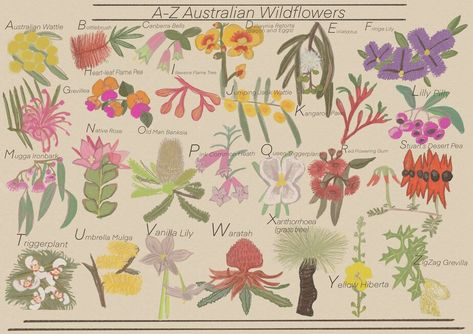 Charlottesgraphics - Etsy Australia Australian Wildflowers, Native Australians, Australian Garden, Australian Wildlife, Chalk It Up, Native Garden, Australian Native, Cute Embroidery, Gouache Painting