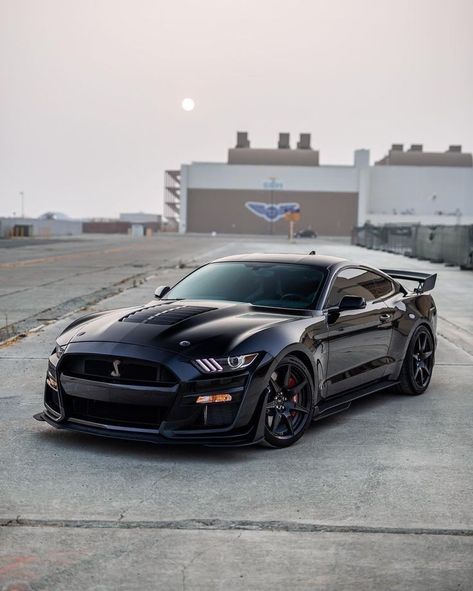 Siyah Mustang, Mobil Mustang, Shelby Car, Mustang Wallpaper, Mustang Car, Mustang Gt500, Shelby Mustang, Aesthetic Cool, Ford Mustang Car