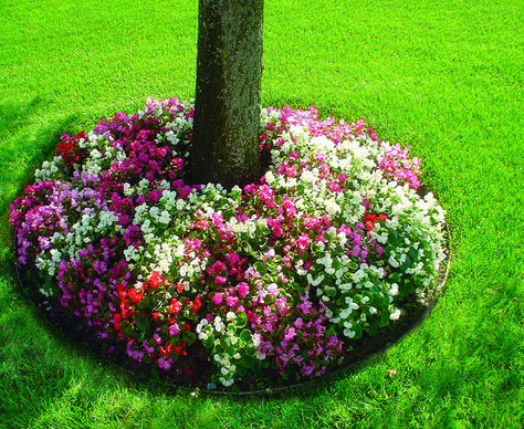 Flower Bed Landscape Ideas, Flower Bed Back Of House, Big Flower Pots Outdoor, Outside Flower Beds, Flowers For Flower Beds, Flower Bed Around Tree, Flower Beds In Front Of House, Flower Beds Around Trees, Landscaping Around Trees