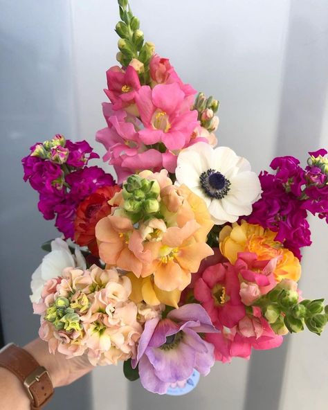 Snap Dragon Floral Arrangement, Snapdragon Flowers Bouquets, Snapdragons Flowers, Snapdragon Bouquet, Snap Dragon, Snapdragon Flowers, Floral Work, Spring Into Action, Farm Garden