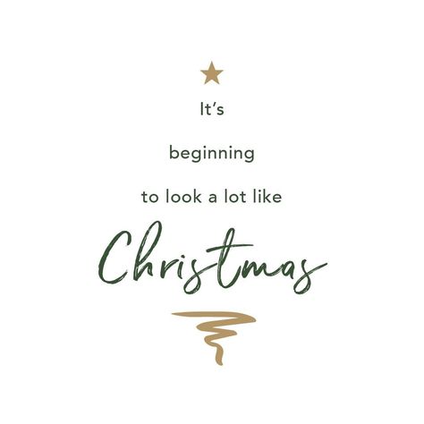 @amandane posted to Instagram: Christmas is my favourite time of the year!  I love to have my family around me and sharing the love of giving!  I am fortunate enough to have all my children and grandchildren with me this year.    How about you?  #familytime #christmas #aroundthechristmastree #timetogive #xmas #christmastime #festive  #christmastree #merrychristmas #familyday #santaclaus #easyonthetongue Holiday Iphone Wallpaper, Hello Christmas, Xmas Quotes, Last Minute Gift Ideas, Pre K Activities, Local Gifts, Month Flowers, Holiday Ready, Self Reminder