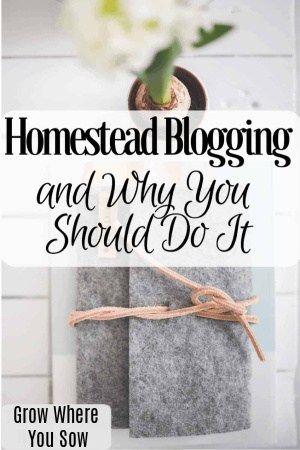 Homestead Planning, Homestead Hacks, Homestead Tips, Homesteading Life, Homestead Blog, Copy Writing, Family Homestead, Acre Homestead, Modern Homesteading