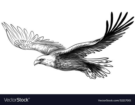 Eagle Soaring Tattoo, Small Eagle Tattoo Men, Eagle Flying Tattoo, Soaring Eagle Tattoo, Bald Eagle Tattoo For Women, Eagle Tattoo For Women Feminine, Eagle Tattoo Feminine, Flying Eagle Drawing, Simple Eagle Tattoo