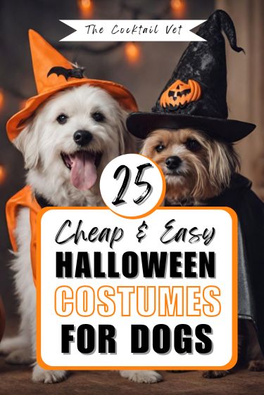 I found the most creative Halloween costumes for dogs. They are super easy to make as a dog parent, even as a last-minute costume. These homemade dog costumes also make the perfect duo with you and your pet dog. From matching dog Halloween costumes to crochet dog Halloween costumes, we've got you covered. There is also zero dog Halloween costumes and poodle dog Halloween costumes. Home Made Dog Costumes Halloween, Home Made Dog Costumes, Diy Large Dog Costumes, Halloween Costumes For Black Dogs, Dog Pair Halloween Costumes, Unique Dog Halloween Costumes, Easy Dog And Owner Costumes, Pet Costumes For Dogs And Owners, Easy Diy Dog Costume