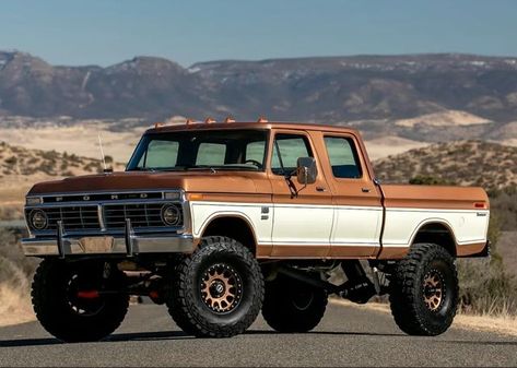 Old Ford Pickup Truck, Old Ford Pickups, Ford Crew Cab, Chevy K5 Blazer, Old Ford Truck, American Pickup Trucks, Ford Diesel, Ford Trucks F150, Vintage Pickup Trucks