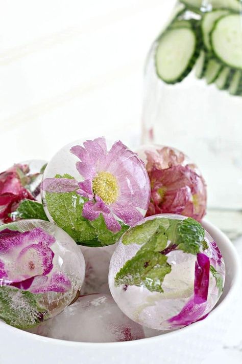 Flowers In Ice Cubes, Flowers In Ice, Floral Ice Cubes, Flower Ice Cubes, Kid Friendly Drinks, Floral Ice, Dandelion Jelly, Flower Ice, Green Recipes