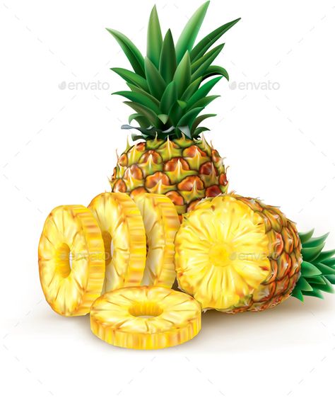 Pineapple Pictures, Pineapple Drawing, Pineapple Painting, Pineapple Illustration, Pine Apple, Cut Pineapple, Fruits Drawing, Fruit Picture, Pineapple Slices